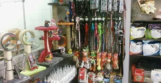 Sellerie canin près de Mésanger